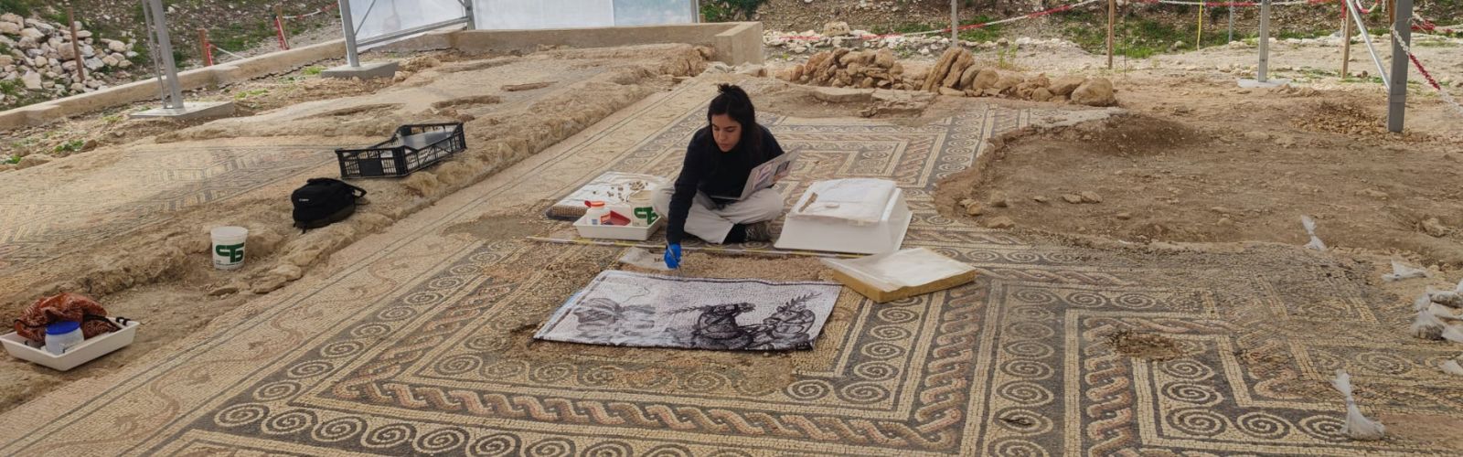 Mosaici antichi custoditi tra i vigneti
